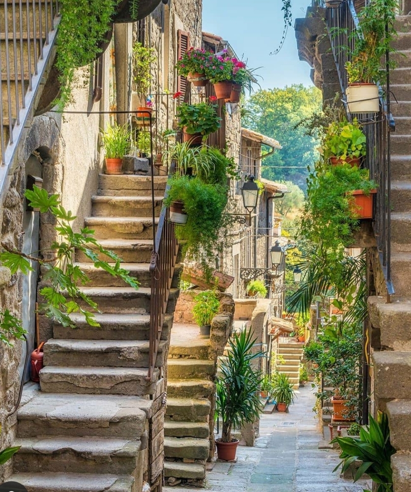 Over 30 Items Adding Daily. - image 7